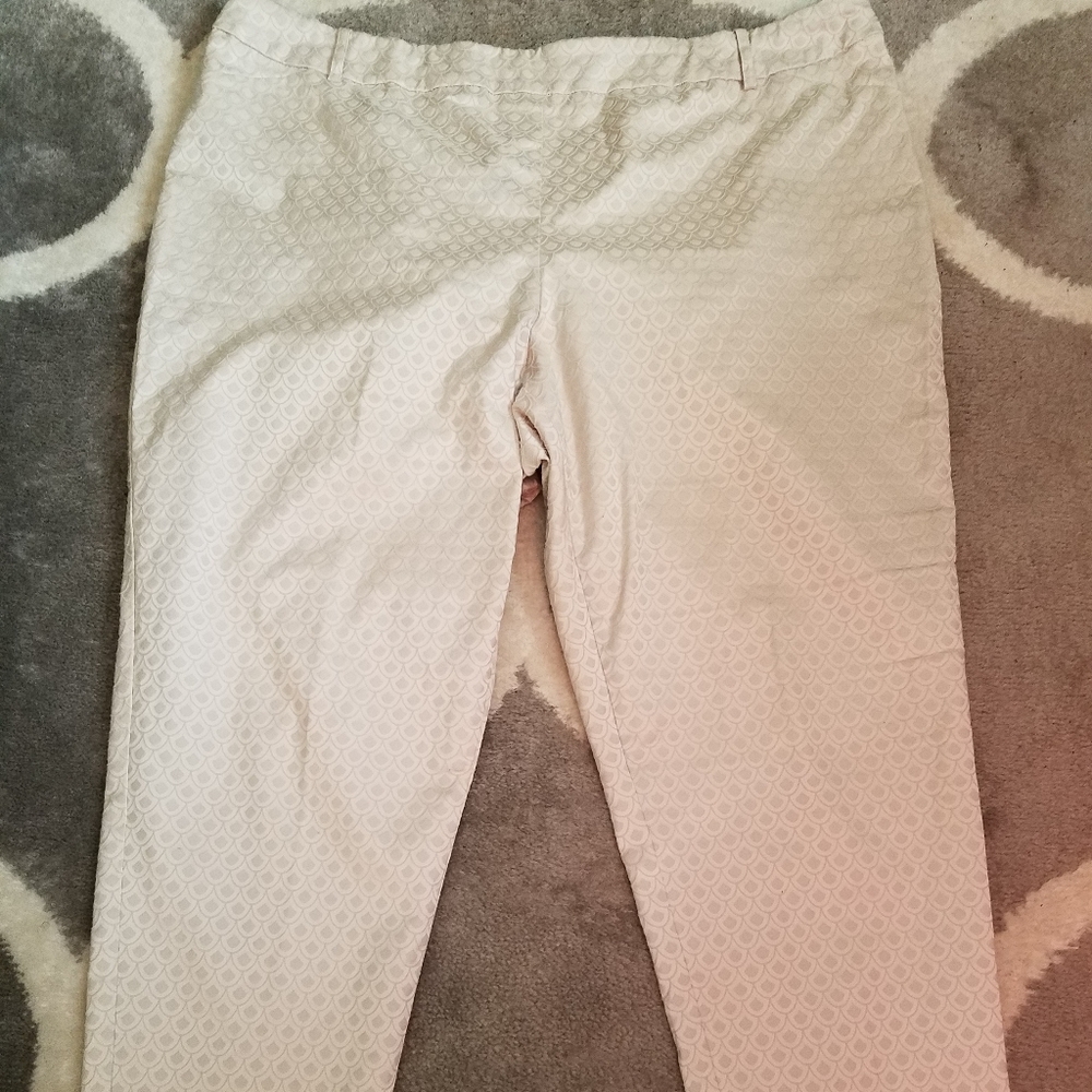 Cato brand pull on style slender leg pants. Size 22w